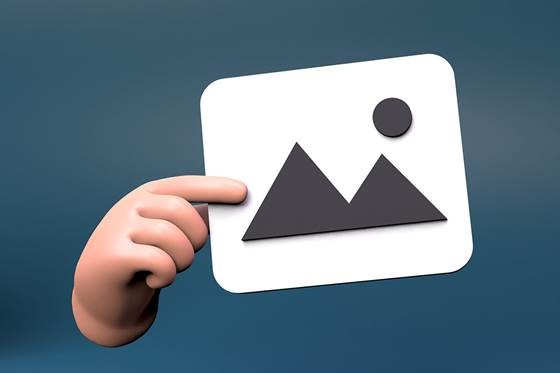 Discovery & Consultation